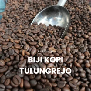 Biji kopi tulungrejo